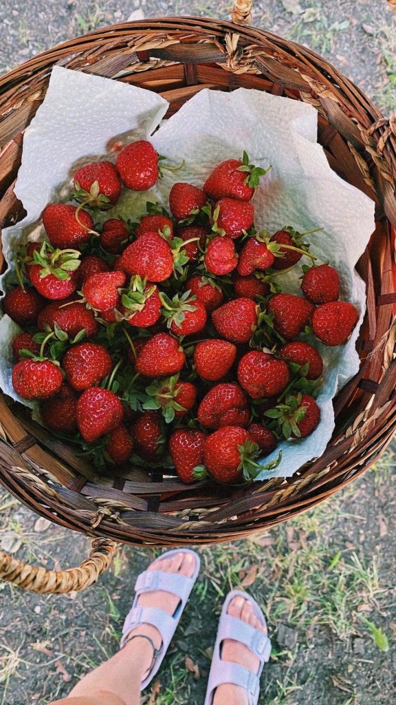 Summer bucket list
